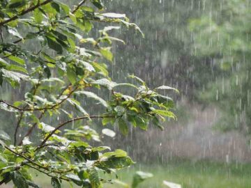 എറണാകുളം ഉൾപ്പെടെ കേരളത്തിൽ ശക്തമായ മഴയ്ക്കും ഇടിമിന്നലിനും മുന്നറിയിപ്പ്
