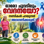 ലോക ആർത്രൈറ്റിസ് ദിനം 2026 സന്ധിവേദനയുടെ ലക്ഷണങ്ങളും സന്ധികളുടെ ആരോഗ്യസംരക്ഷണവും അവതരിപ്പിക്കുന്ന Prime News Age ഫീച്ചർ