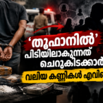 ഓപ്പറേഷൻ തൂഫാൻ: വലിയ ലഹരി വിതരണ ശൃംഖലകളെക്കുറിച്ച് ഉയരുന്ന ചോദ്യങ്ങൾ