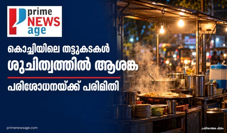 കൊച്ചിയിലെ തട്ടുകടകളിൽ ശുചിത്വ ആശങ്ക; രാത്രികാല പരിശോധനയ്ക്ക് പരിമിതി